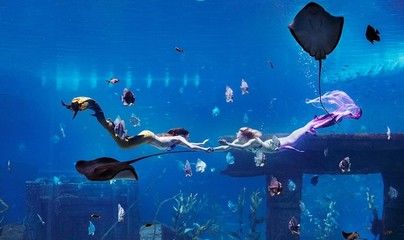 桂林水族館：桂林旅游攻略桂林水族館