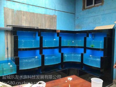 鹽城魚缸批發(fā)市場：鹽城水族批發(fā)市場魚缸多少錢 全國觀賞魚市場 第2張