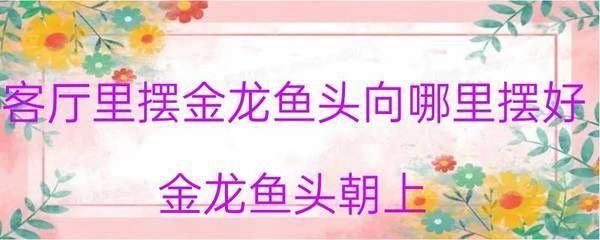 金龍魚游姿異常的原因分析：金龍魚游姿異常可能由于多種因素引起金龍魚游姿異常 金龍魚百科 第3張