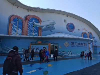 哈爾濱水族館：哈爾濱水族館在哪里