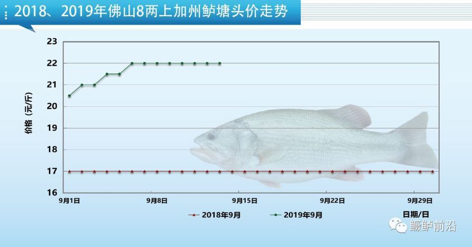 紅龍魚最小魚缸尺寸圖：紅龍魚最小的魚缸尺寸圖，包括缸體、底砂和裝飾品的尺寸 水族問答 第1張