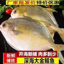 金昌水族批發(fā)市場(chǎng)：金昌水族批發(fā)市場(chǎng)在哪里 全國(guó)觀賞魚(yú)市場(chǎng) 第4張