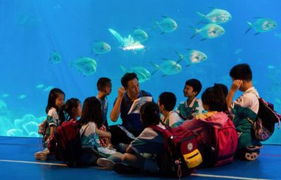 畢節(jié)水族館：畢節(jié)市金沙縣彎橋水族館彎橋水族館營(yíng)業(yè)時(shí)間優(yōu)惠活動(dòng) 全國(guó)觀賞魚市場(chǎng) 第3張