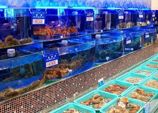 紅色龍魚寓意：關(guān)于紅色龍魚的幾個疑問句 水族問答 第2張