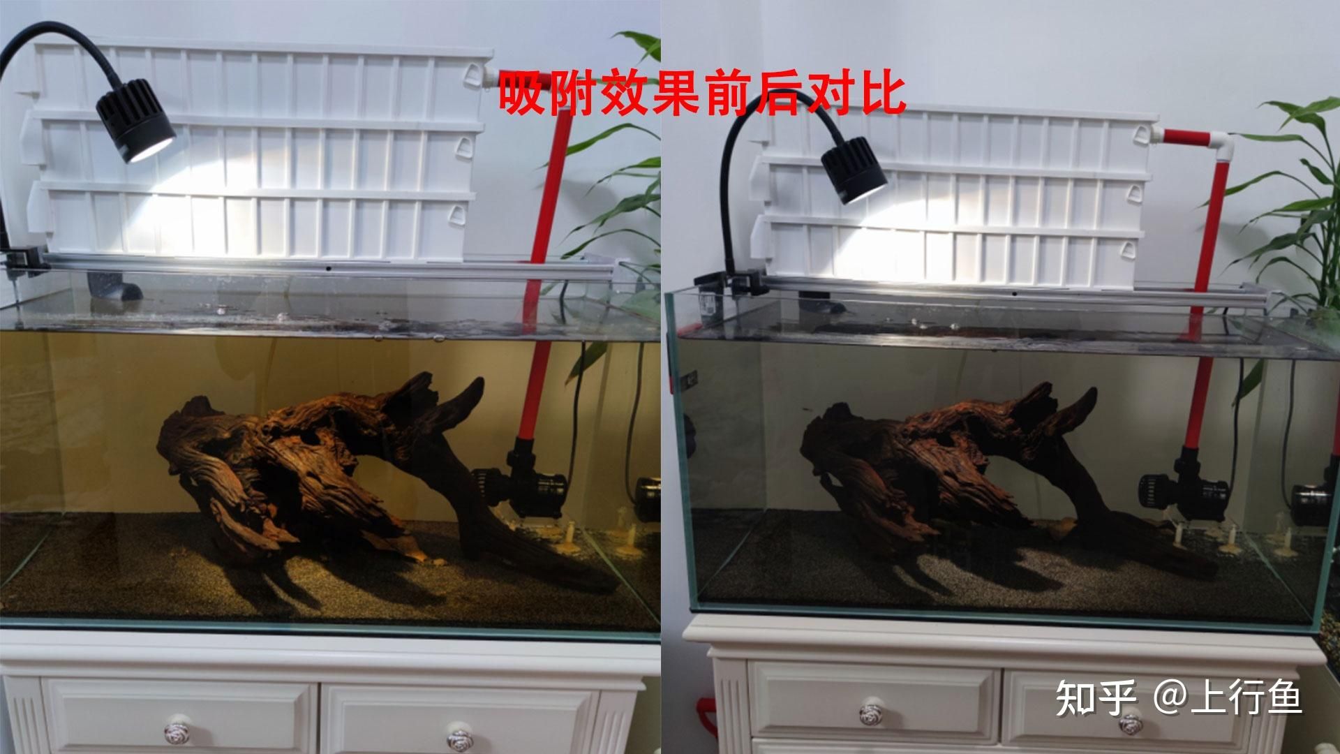 魚缸水質(zhì)改善小技巧：改善魚缸水質(zhì)是確保魚類健康成長的關(guān)鍵因素之一 魚缸百科 第4張