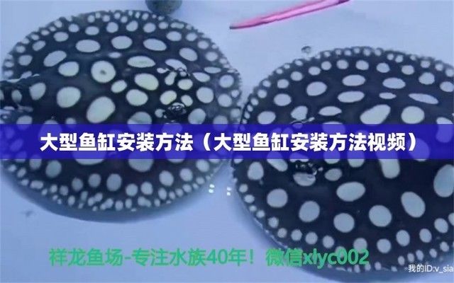 大型魚(yú)缸底座：大型魚(yú)缸底座的設(shè)計(jì)和制造 魚(yú)缸百科 第4張