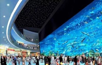 榆林水族館：榆林市榆林市榆林市榆林市榆陽(yáng)區(qū)一泓水族館親子活動(dòng) 全國(guó)觀(guān)賞魚(yú)市場(chǎng) 第1張