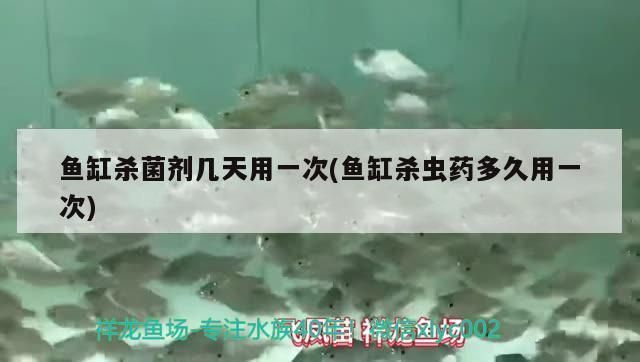 恩施土家族苗族自治州觀賞魚批發(fā)市場：恩施土家族苗族自治州觀賞魚批發(fā)市場在什么地方 全國觀賞魚市場 第12張