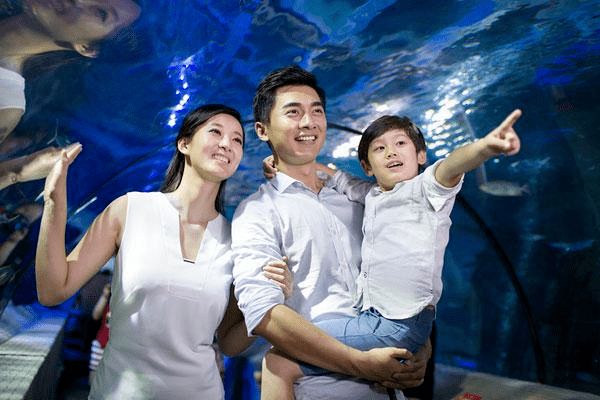 呼和浩特水族館：呼和浩特海洋生物種類和先進的展示技術(shù)吸引了眾多游客 全國觀賞魚市場 第4張