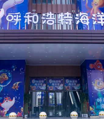 呼和浩特水族館：呼和浩特海洋生物種類和先進的展示技術(shù)吸引了眾多游客 全國觀賞魚市場 第6張