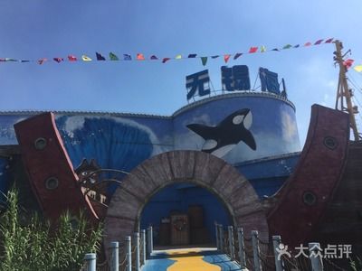 定西水族館：定西地址水族館 全國觀賞魚市場 第2張