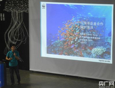 金龍魚 紅龍魚 缺點(diǎn)：金龍魚和紅龍魚的區(qū)別 水族問(wèn)答 第2張