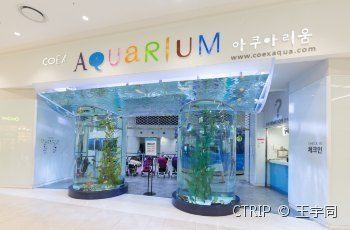 酒泉水族館：酒泉水族館vs祥龍魚場(祥龍魚場與酒泉魚族館 全國觀賞魚市場 第1張