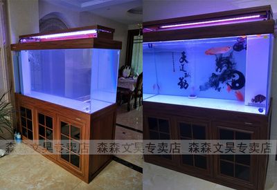 龍魚缸圖片：龍魚缸內(nèi)部裝飾品推薦如何選擇適合龍魚的魚缸水草種植指南 魚缸百科 第4張