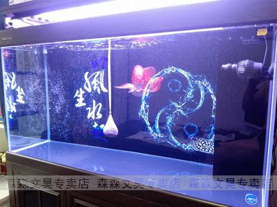 龍魚缸圖片：龍魚缸內(nèi)部裝飾品推薦如何選擇適合龍魚的魚缸水草種植指南 魚缸百科 第5張