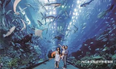 內江水族館：內江源里水族館 全國觀賞魚市場 第1張