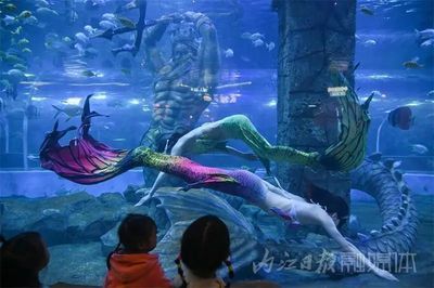 內江水族館：內江源里水族館 全國觀賞魚市場 第2張