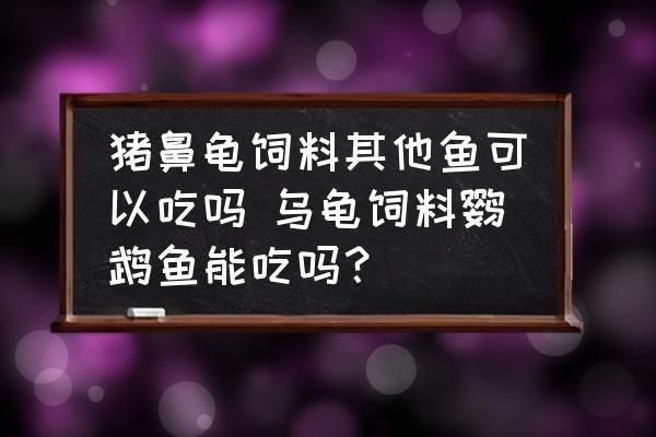 豬鼻龜?shù)氖澄稃W鵡魚遲可以嗎：豬鼻龜吃鸚鵡魚嗎 豬鼻龜百科 第7張