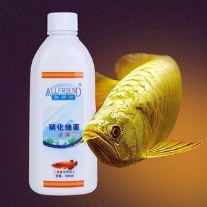 如何提高金龍魚溶氧量：如何提高金龍魚的溶氧量 金龍魚百科 第3張