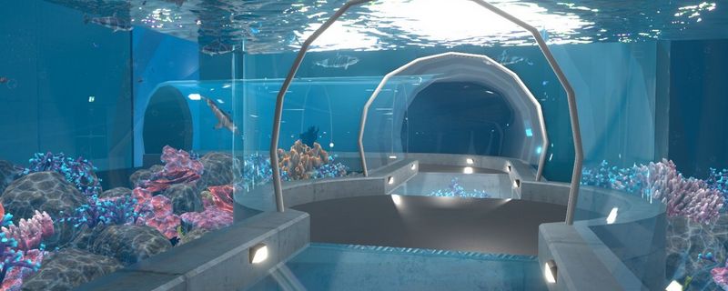 張家口水族館：張家口水族館vs祥龍魚場(張家口水族館