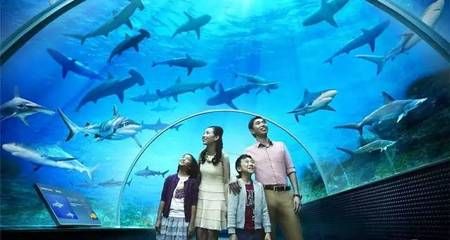 張家口水族館：張家口水族館vs祥龍魚場(張家口水族館