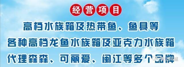 金龍魚1:1:1配料表比例是多少：關(guān)于金龍魚1:1:1配料表比例的疑問 水族問答 第4張