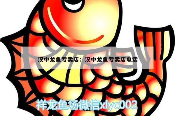 漢中龍魚專賣店：漢中龍魚專賣店和漢中龍魚專賣店電話的介紹到此就結(jié)束了 全國觀賞魚市場 第4張