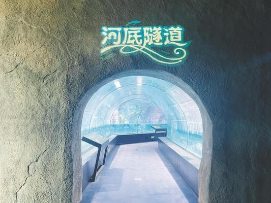 紹興水族館：浙東淡水魚館即將亮相浙東淡水魚館即將亮相浙東淡水魚館 全國(guó)觀賞魚市場(chǎng) 第6張