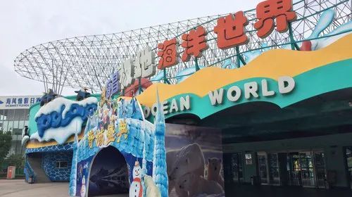 滄州水族館：滄縣滄州水族館 全國(guó)觀賞魚市場(chǎng) 第2張