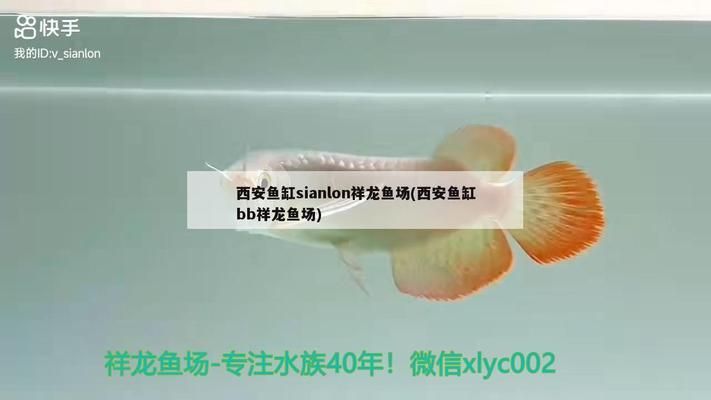 品牌魚缸find祥龍魚場(chǎng)怎么樣?。合辇堲~場(chǎng)個(gè)性化定制流程匯總祥龍魚場(chǎng)個(gè)性化定制流程 魚缸百科 第4張