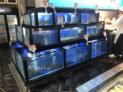 湘潭水族批發(fā)市場：湘潭魚缸批發(fā)市場 全國觀賞魚市場 第2張