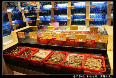 來(lái)賓龍魚專賣店：如何在網(wǎng)上買龍魚 全國(guó)觀賞魚市場(chǎng) 第3張