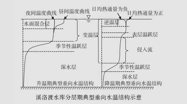 金龍魚20厘米用多大魚缸養(yǎng)：20厘米長(zhǎng)的金龍魚適合在多大的魚缸中飼養(yǎng)？ 水族問答 第1張