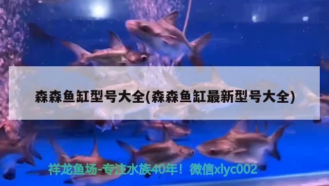 森森魚(yú)缸品牌 魚(yú)缸百科 第2張