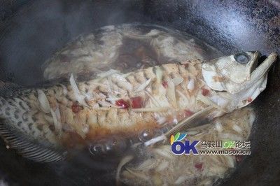 馬鞍山龍魚專賣店：安徽馬鞍山龍魚專賣店(馬鞍山哪里有賣魚缸的實體店鋪 全國觀賞魚市場 第3張