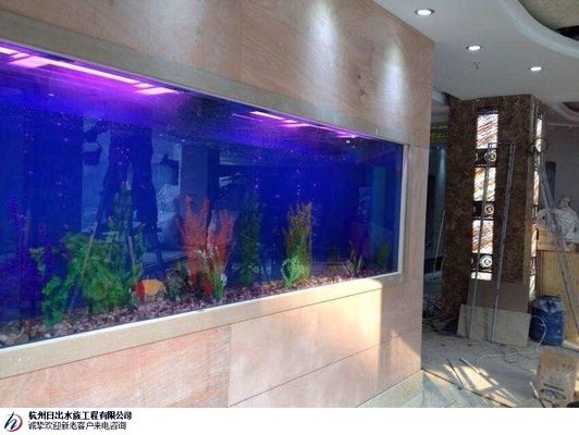 馬鞍山龍魚專賣店：安徽馬鞍山龍魚專賣店(馬鞍山哪里有賣魚缸的實體店鋪 全國觀賞魚市場 第5張