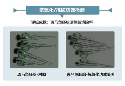 金龍魚55公分水溫多少度最好養(yǎng)：關(guān)于金龍魚水溫的問題 水族問答 第1張