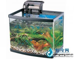 佳寶魚缸r210b：佳寶魚缸r210b適合養(yǎng)什么魚 魚缸百科 第3張