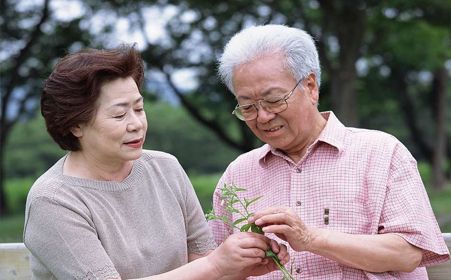 招財戰(zhàn)船魚混養(yǎng)注意事項：招財魚混養(yǎng)水質(zhì)管理技巧 龍魚百科 第2張