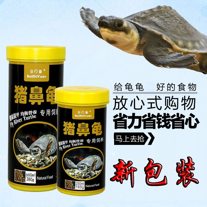 豬鼻龜最好的飼料：豬鼻龜?shù)娘暳线x擇 豬鼻龜百科 第1張