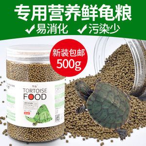 豬鼻龜最好的飼料：豬鼻龜?shù)娘暳线x擇 豬鼻龜百科 第2張