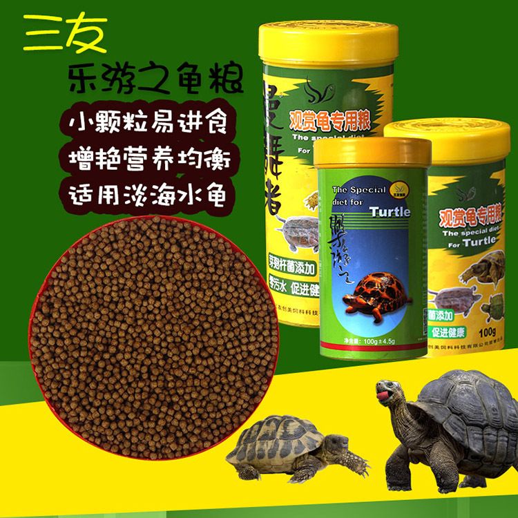 豬鼻龜最好的飼料：豬鼻龜?shù)娘暳线x擇 豬鼻龜百科 第3張