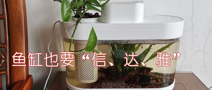 畫法幾何魚缸水泵改造：探索畫法幾何魚缸水泵的改造與升級 魚缸百科 第2張