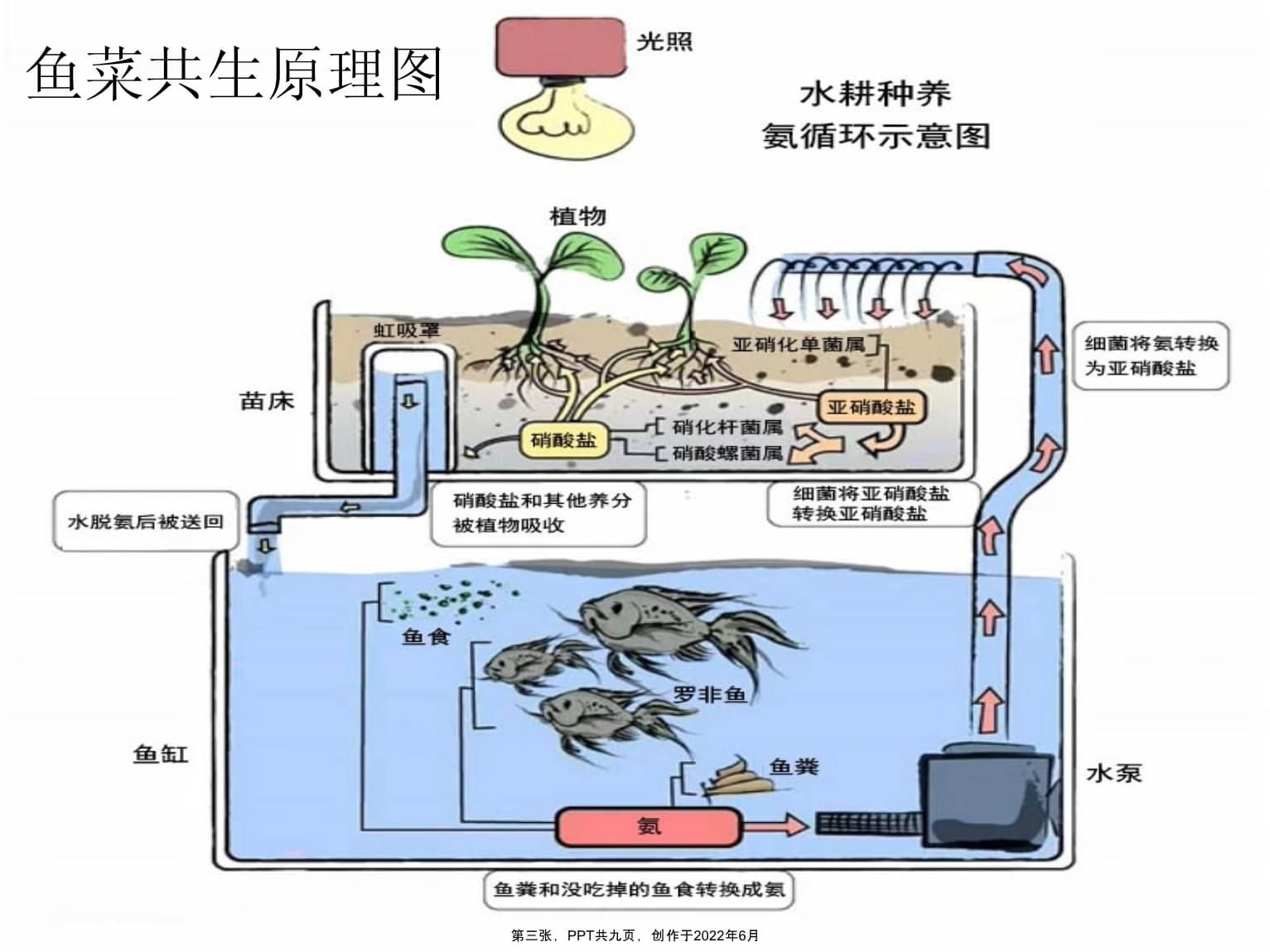 魚缸虹吸原理圖視頻教程：魚缸虹吸原理圖教程詳情 魚缸百科 第4張