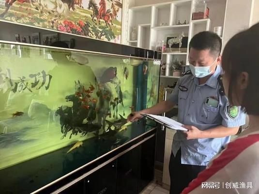 金龍魚60厘米需要多少年：金龍魚60厘米長的幼魚需要多少年才能長到60厘米高 水族問答 第1張