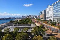 神木水族館：神木市御龍殿水族館 全國觀賞魚市場 第7張