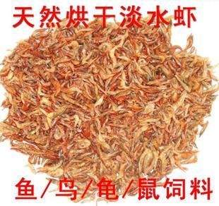 濱州龍魚專賣店：濱州哪里賣魚缸的多些地方 全國觀賞魚市場 第1張