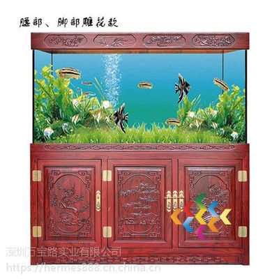 龍魚(yú)缸養(yǎng)海水魚(yú)：在龍魚(yú)缸中飼養(yǎng)海水魚(yú)的最佳方法,海水魚(yú)與淡水魚(yú)的區(qū)別 龍魚(yú)百科 第5張