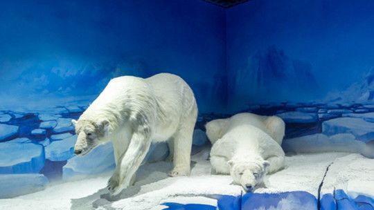 宜賓水族館：宜賓水族館宜賓水族館