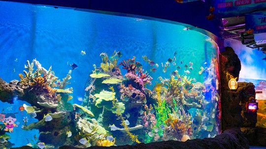 宜賓水族館：宜賓水族館宜賓水族館